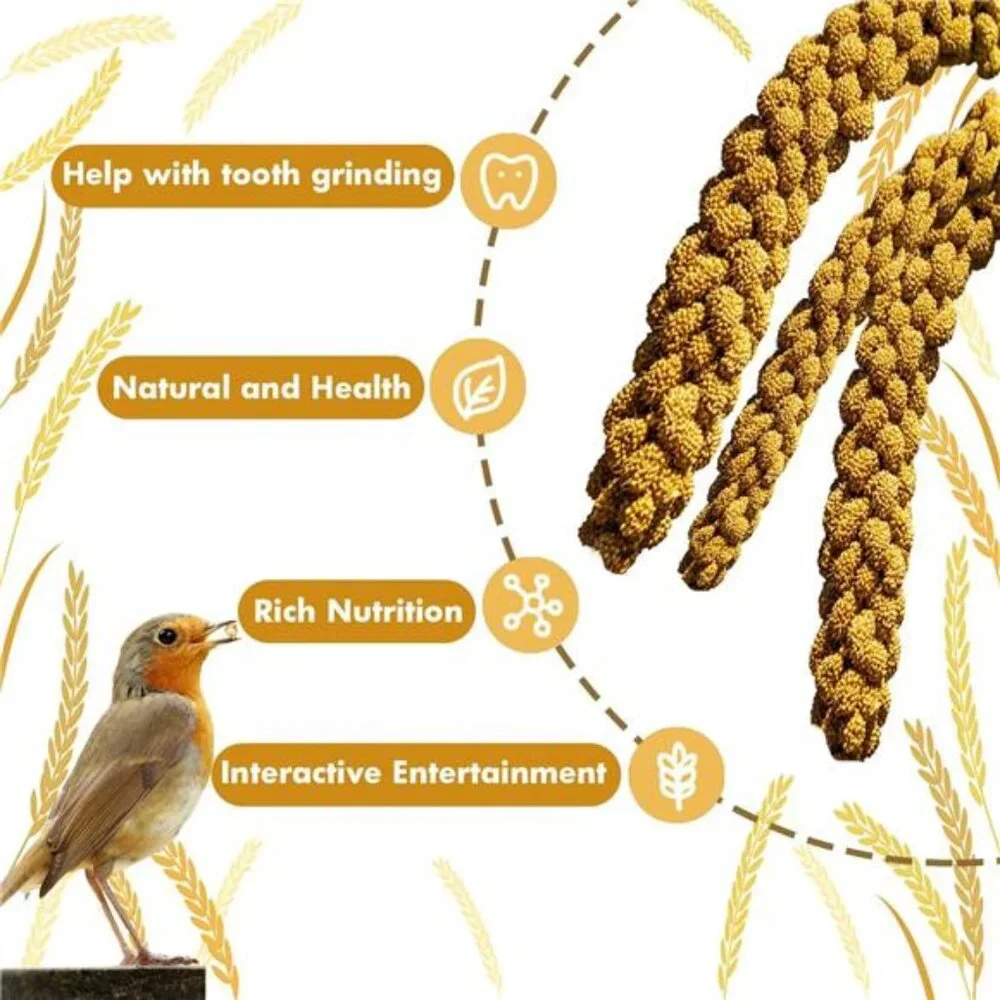 1LB Spray Millet Treat for Birds Parakeets, Natural Sun-Dried Birds Millet